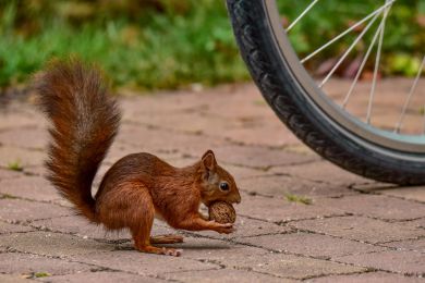 Jürgen Fesser: Frühstück ist gesichert